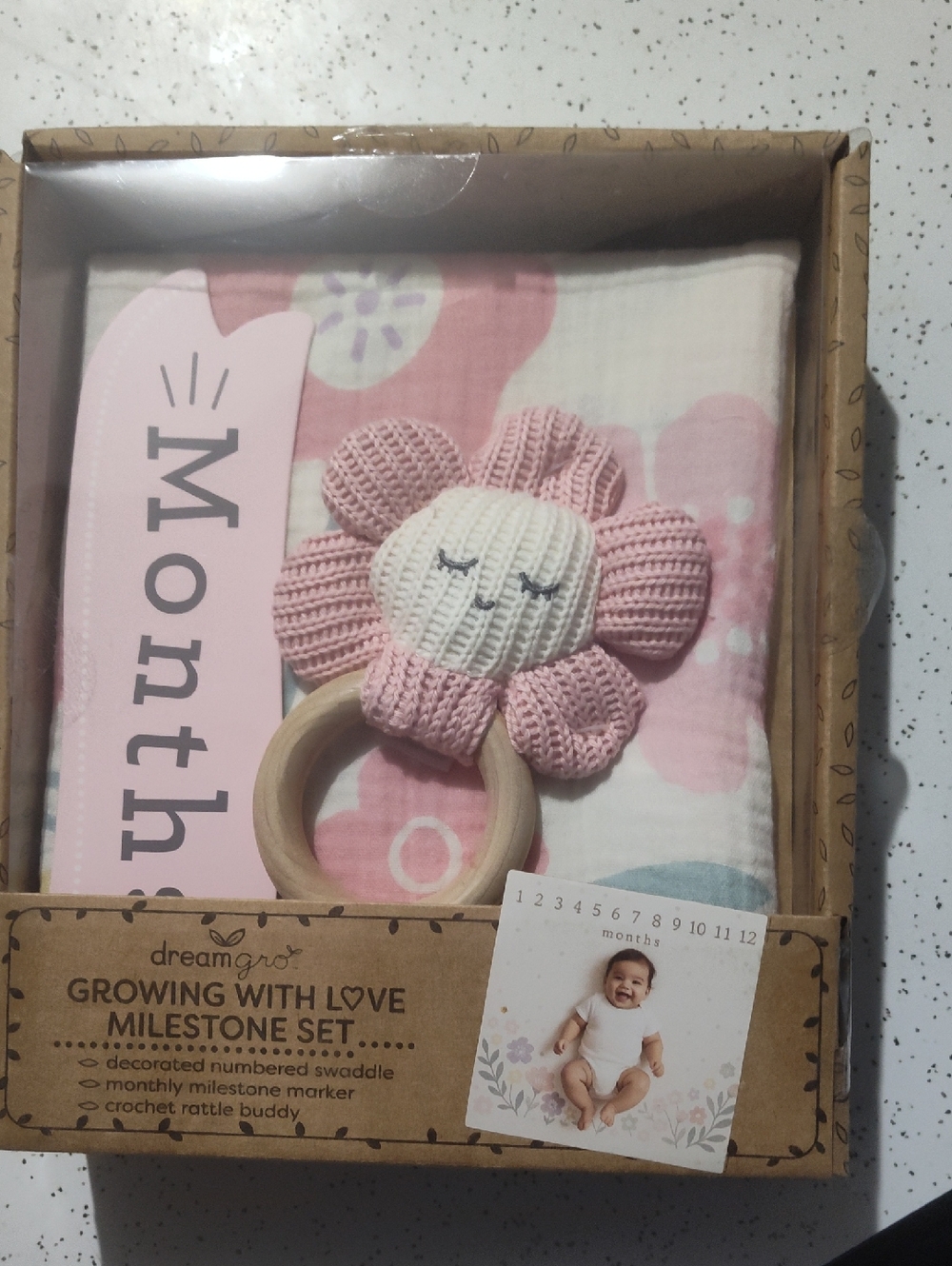 Growing With Love Milestone Set - Pink Floral Baby Bib Accessory Set